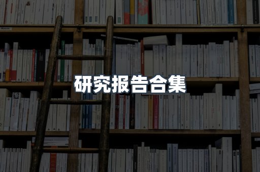 研究报告合集